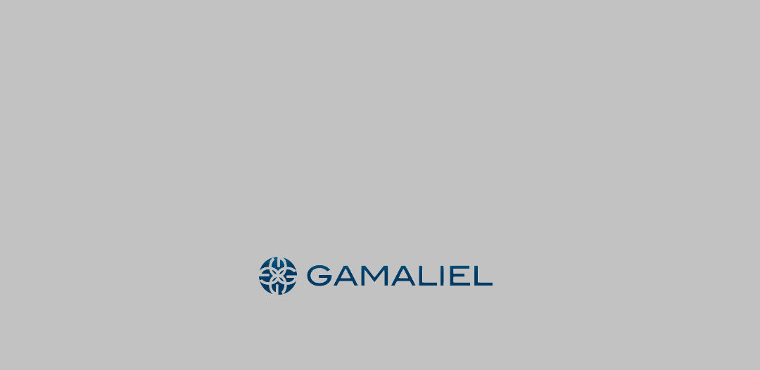 The Gamaliel Foundation Chicago, IL
